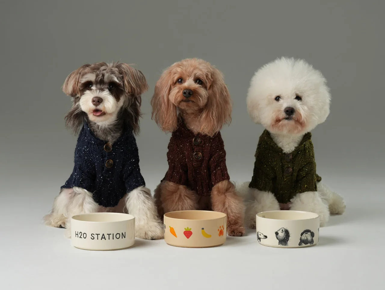 Three stylish dogs in textured knit sweaters: dark blue, burgundy, and olive, seated beside colorful food bowls.