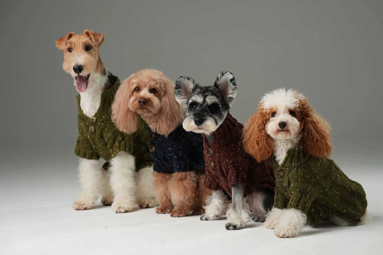 Four dogs wearing cozy, textured knit pet sweaters in burgundy, navy, and olive green, featuring vintage chest buttons.