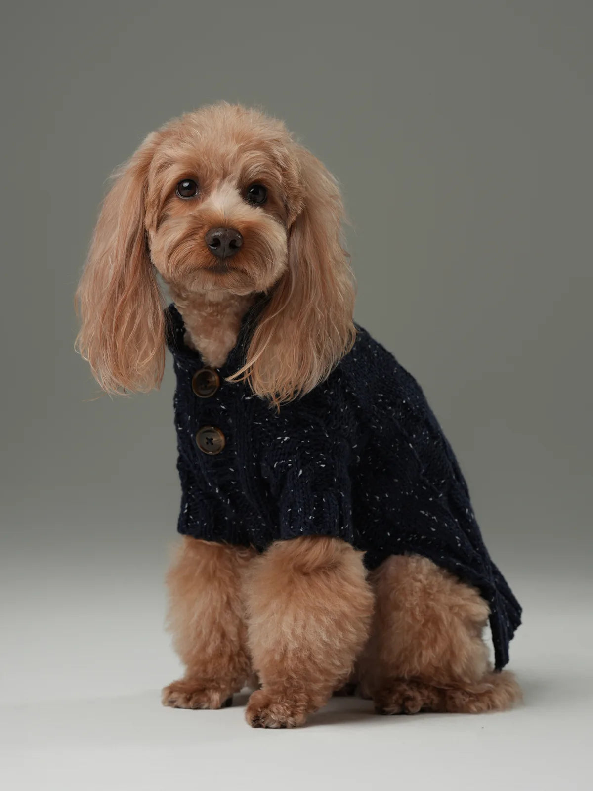 Navy dog sweater with vintage chest buttons, textured knit pattern, and a snug high-neck design for warmth.