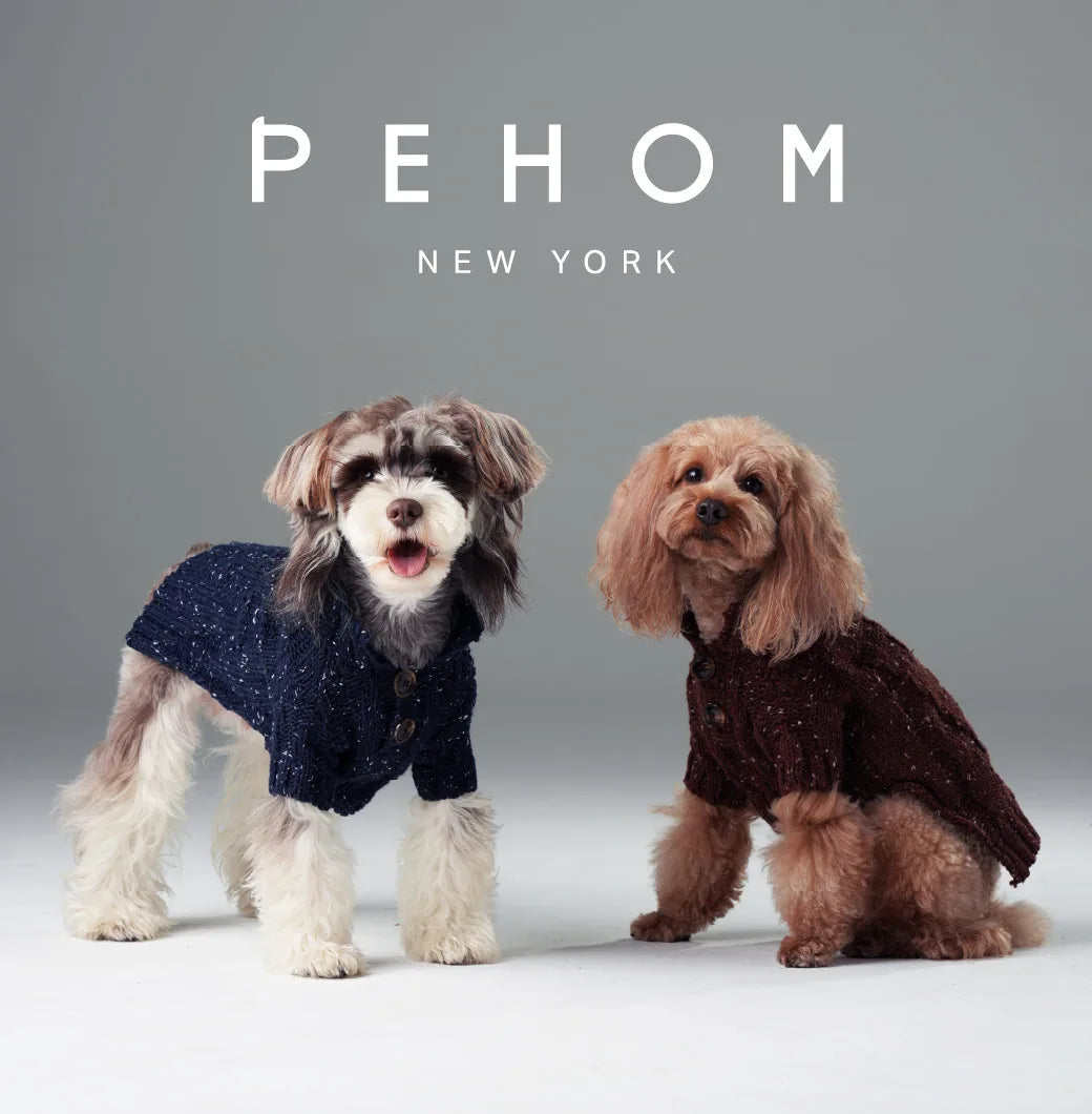 Navy textured knit dog sweater with vintage buttons, modeled by two small dogs against a gray background.