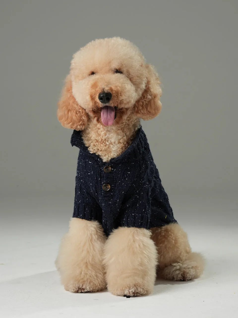 Navy blue pet sweater on a fluffy dog, featuring vintage chest buttons and a textured knit design.