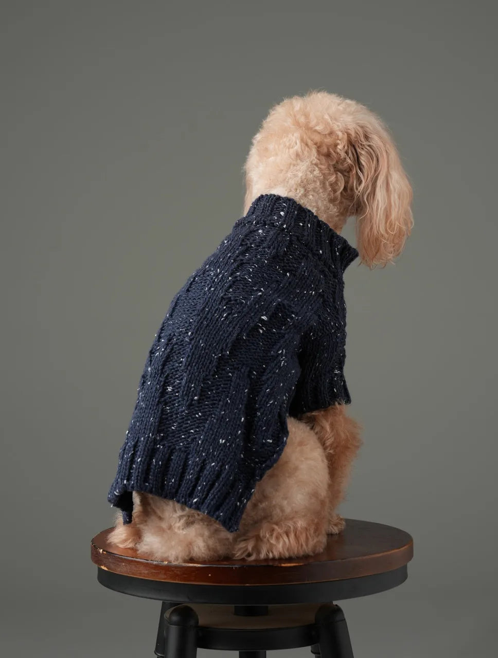Navy textured knit pet sweater with a high neck, featuring vintage chest buttons and a cozy fit for dogs.