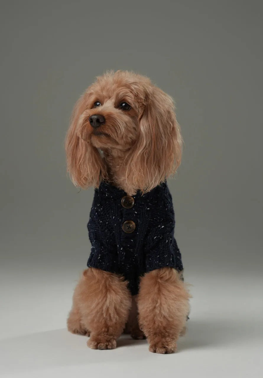 Navy pet sweater with a textured knit pattern, vintage buttons, fitted neck, and soft blended yarn, worn by a fluffy dog.