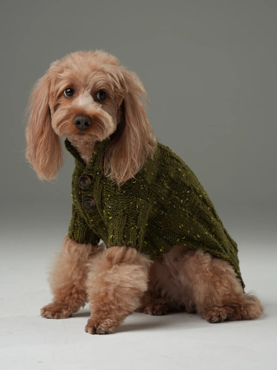 Olive green pet sweater with a high-neck design, textured knit, and vintage buttons worn by a fluffy dog.