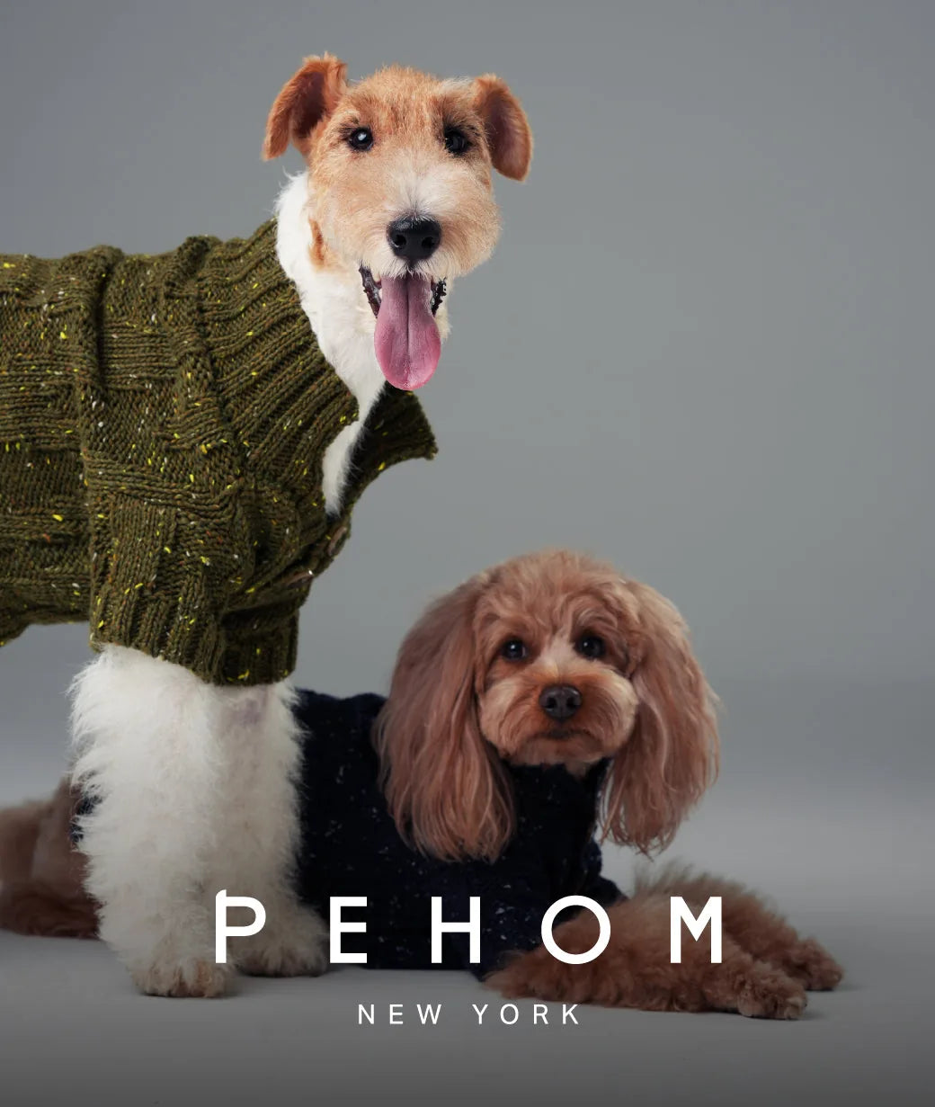 Olive green pet sweater with textured knit pattern, featuring vintage chest buttons, on a happy dog.