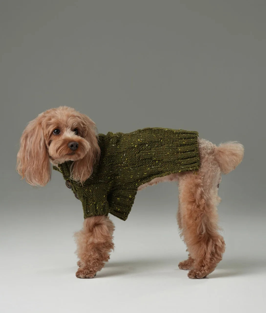 Olive green pet sweater with a textured knit, vintage buttons, and snug fit on a fluffy dog.