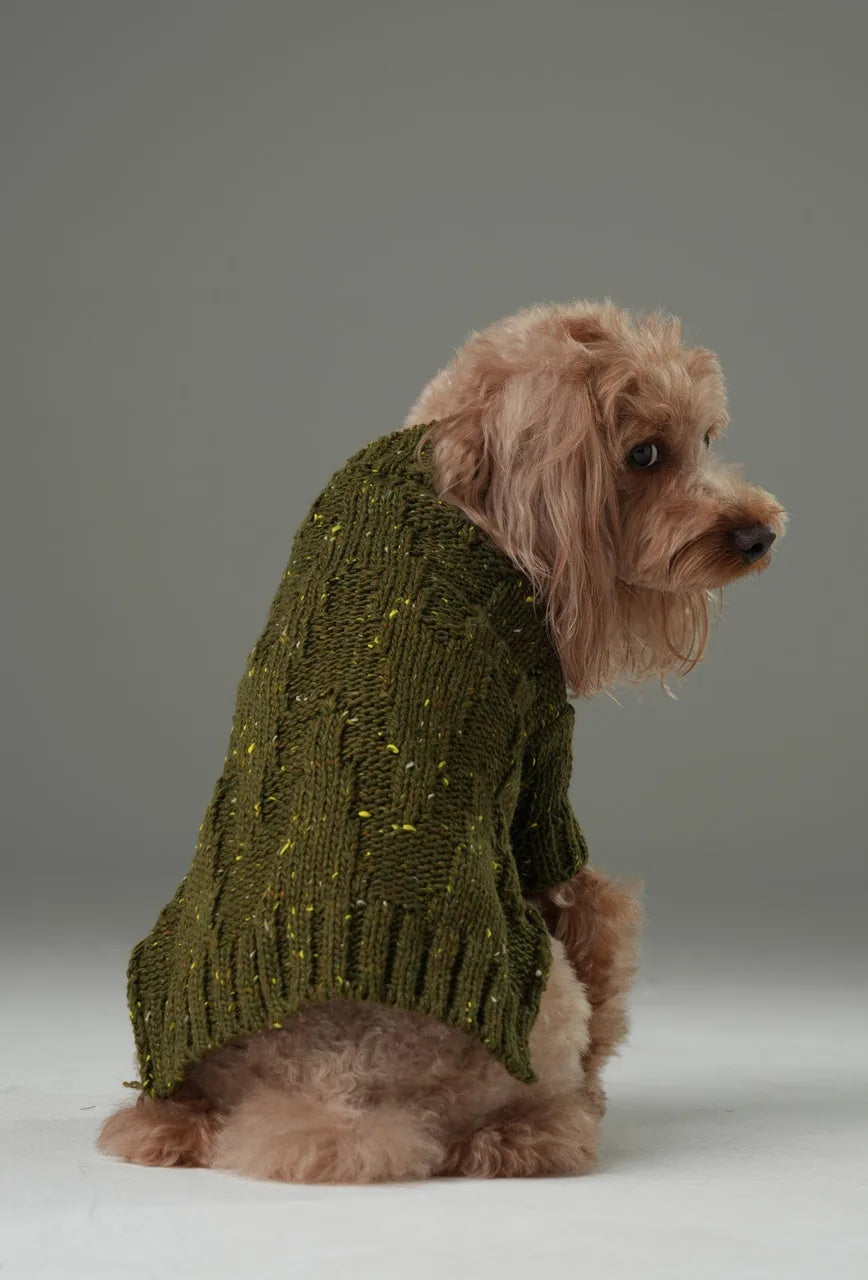 Olive green pet sweater with a textured knit pattern and chest buttons, perfectly snug around a small dog.