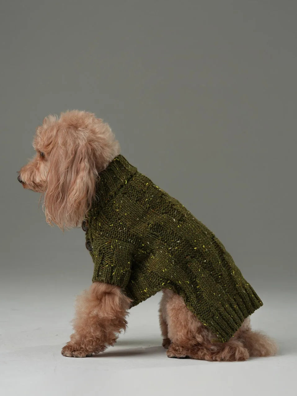 Olive green pet sweater with textured knit pattern, high-neck design, and vintage chest buttons on a dog.