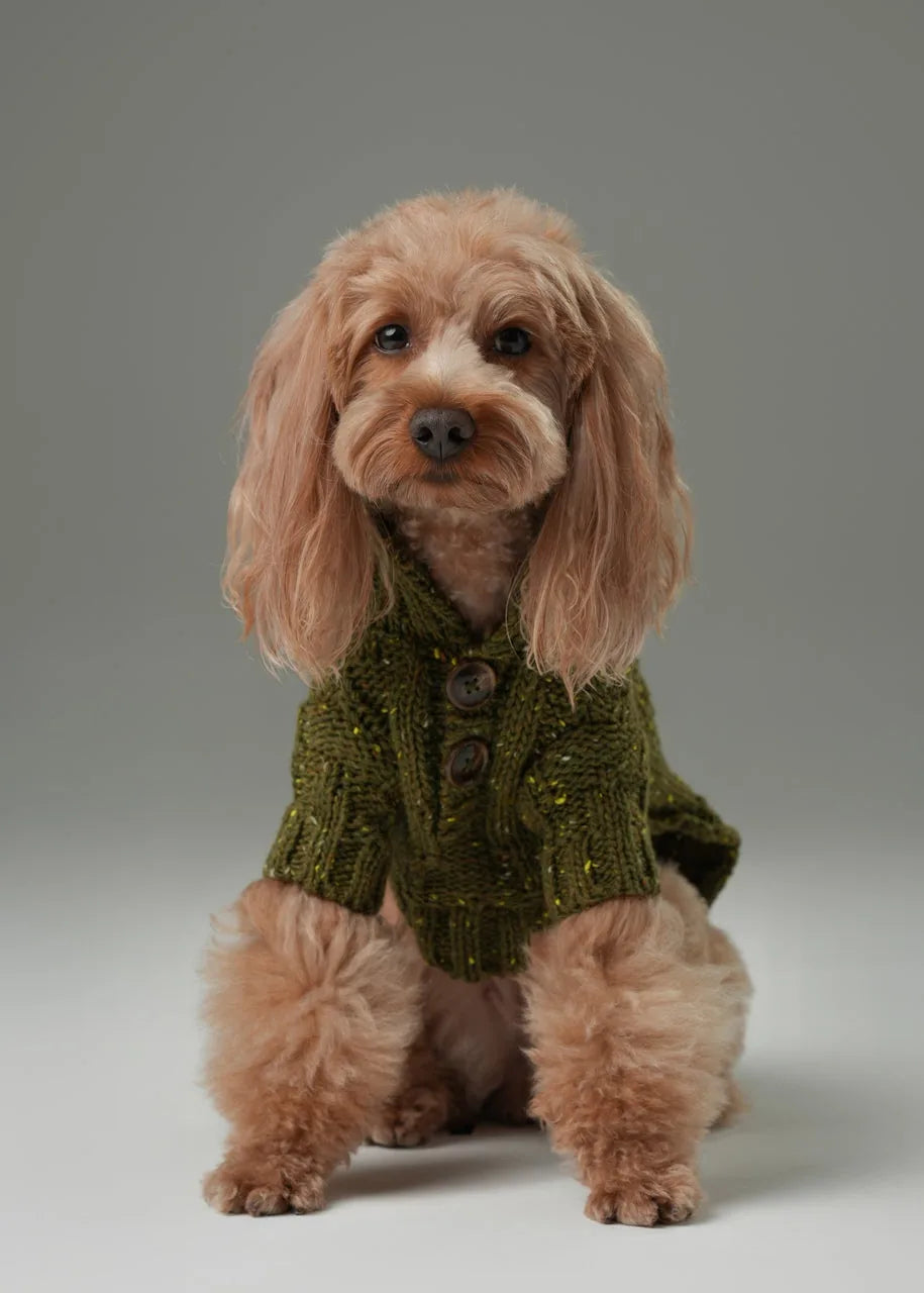 Olive green knitted dog sweater with vintage buttons, featuring a high-neck design for warmth and comfort.