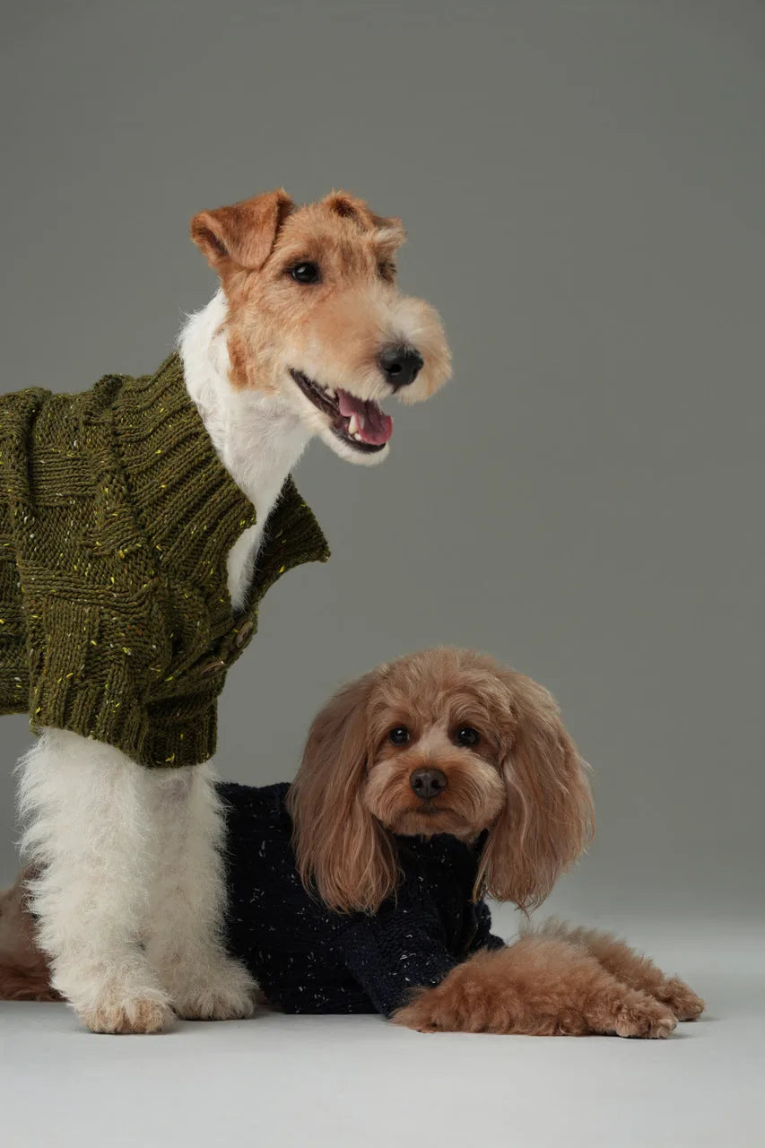 Olive green dog sweater with vintage buttons, worn by a happy dog, paired with another dog in a navy sweater.