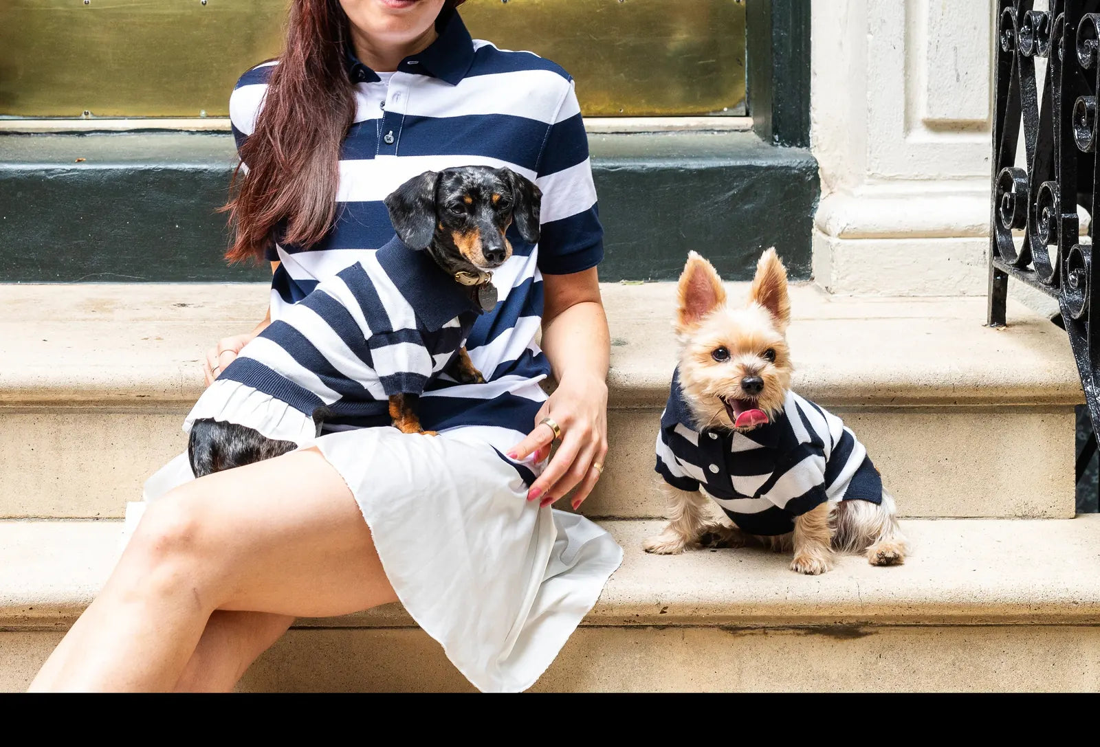 Dachshund and Yorkshire Terrier in striped cashmere blend polo dresses, sitting on a stone staircase beside a woman.