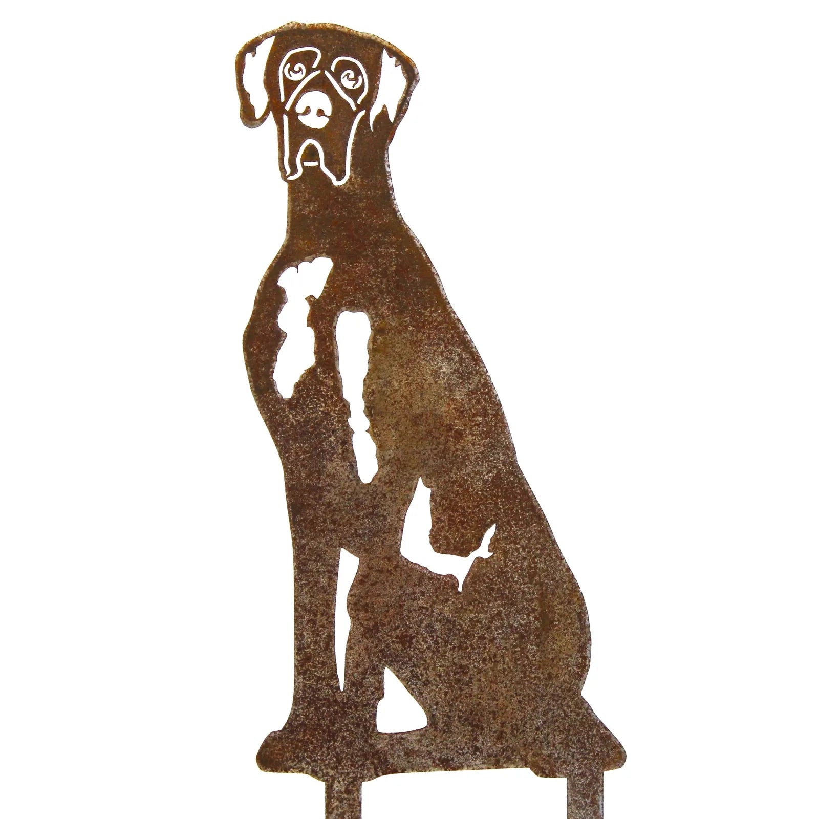 Rusty Corten steel silhouette of a Great Dane sitting, showcasing intricate details and elegant design for outdoor decor.