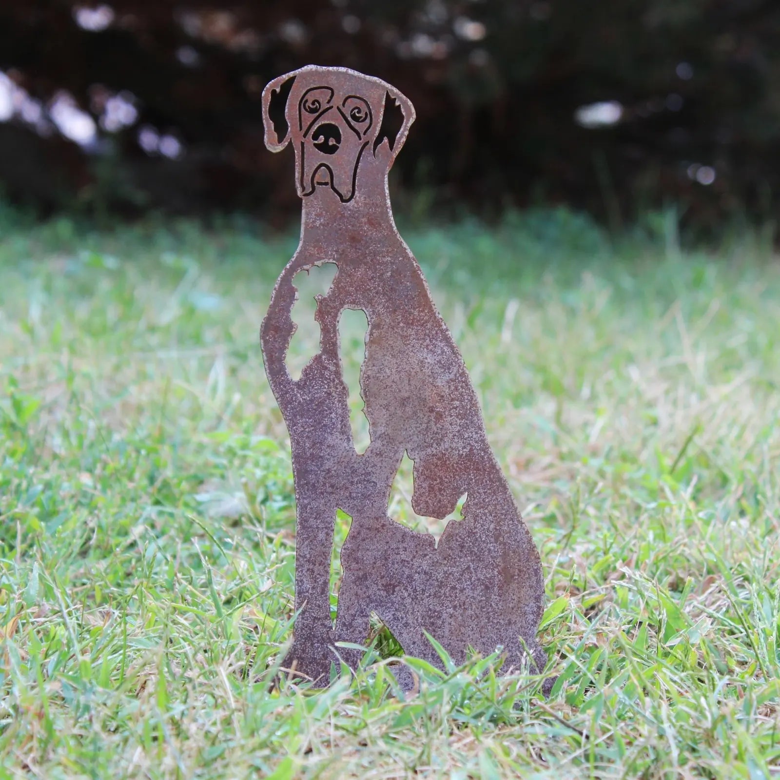 Corten steel Great Dane silhouette standing in grass, showcasing a rustic design for outdoor garden decor.