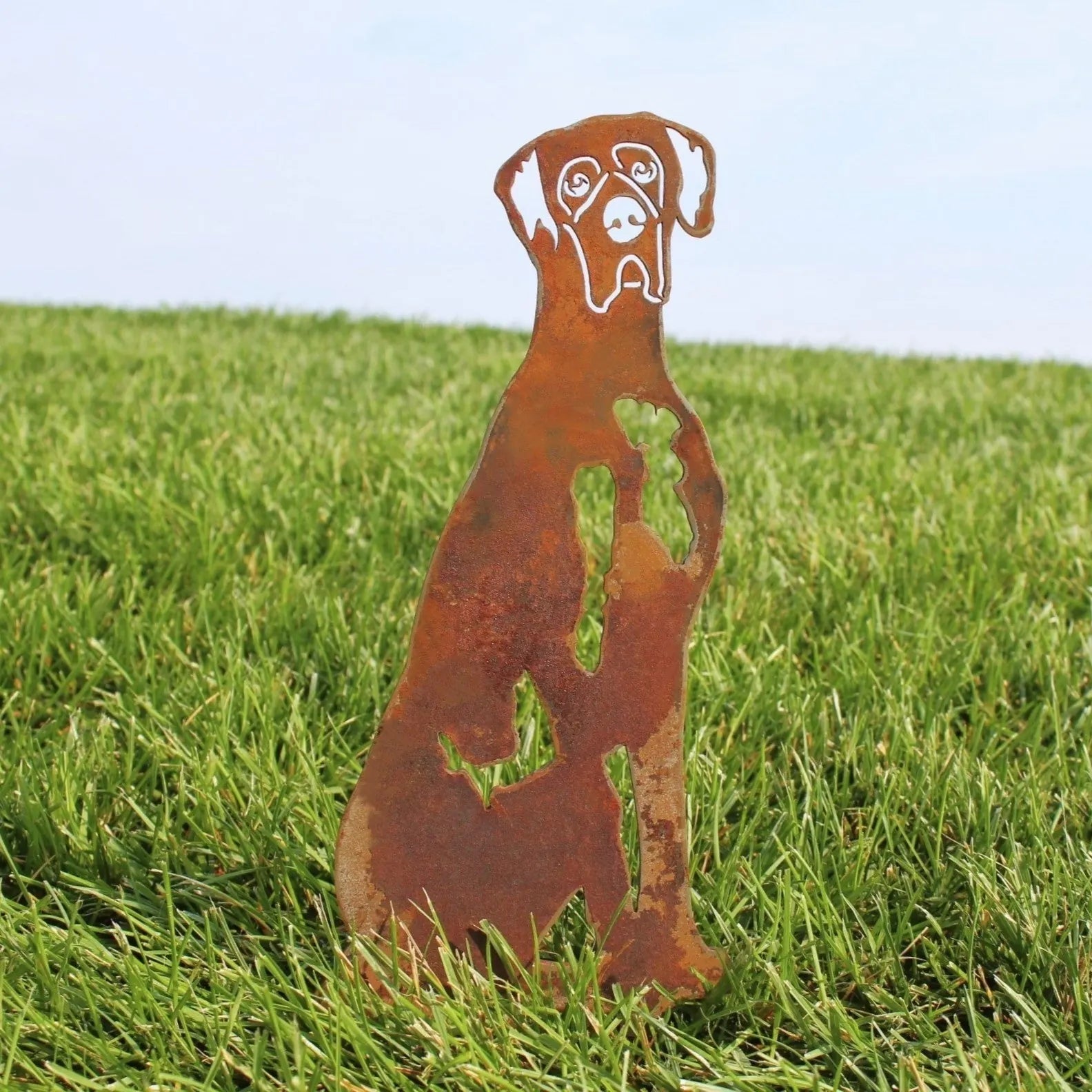 Rustic Great Dane silhouette made from weathering steel, set against lush green grass for outdoor decor.