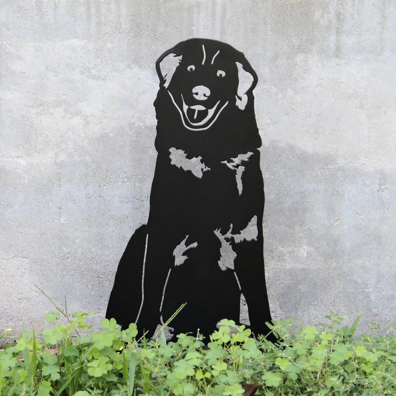 Black metal silhouette of a Great Pyrenees dog against a textured gray wall, surrounded by green grass and clovers.