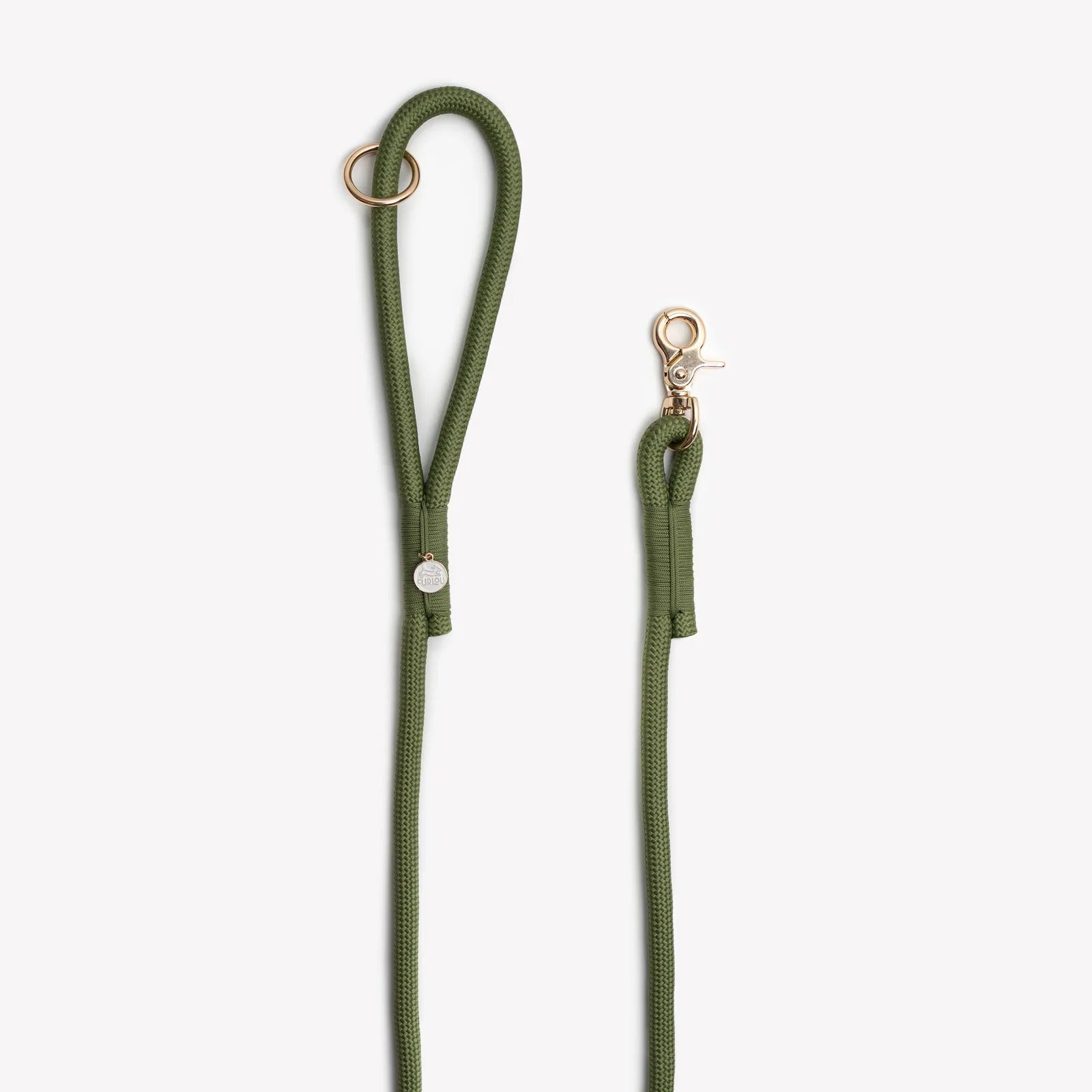 Braided green nylon dog leash with a gold O-ring and clip for accessories, designed for durability and comfort.