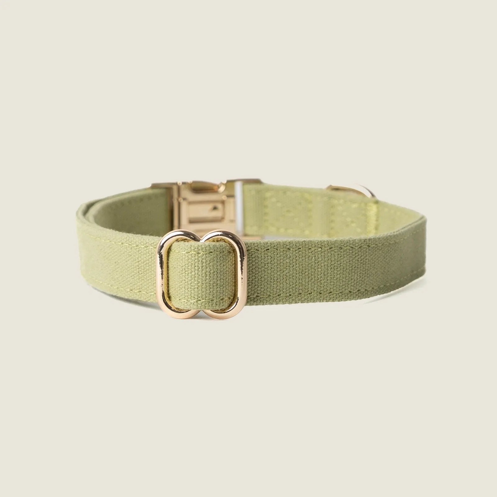 Light green canvas dog collar with gold hardware, featuring a simple design for comfort and style.