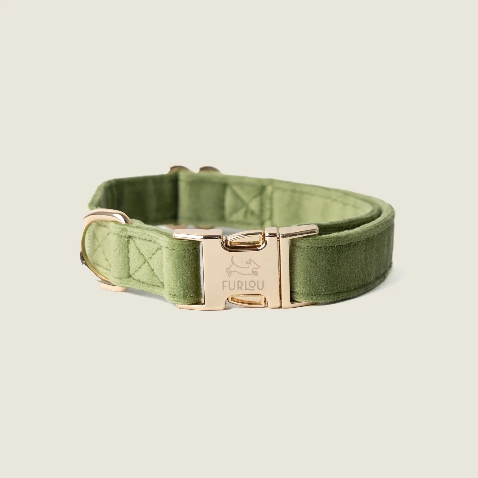 Plush green velvet dog collar with gold hardware, featuring a simple yet elegant design for stylish everyday wear.