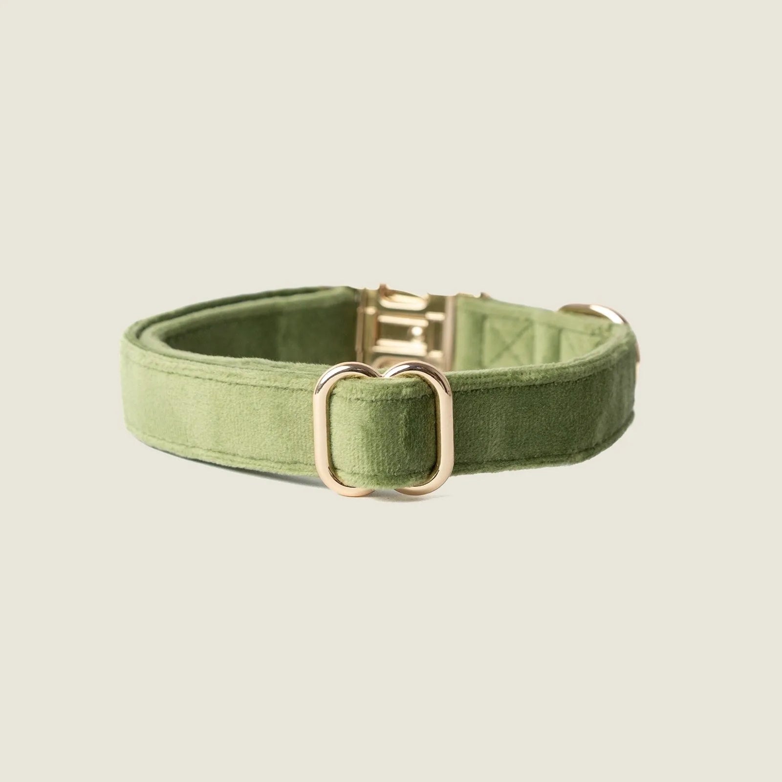 Soft green velvet dog collar with gold hardware, perfect for stylish everyday wear.