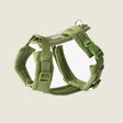 Green - Velvet Dog Harness by FURLOU