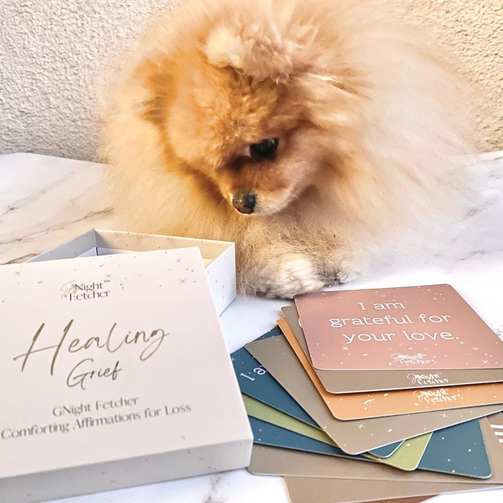 Fluffy orange Pomeranian sniffs Grief Affirmation Cards in a light-colored box on a marble surface.