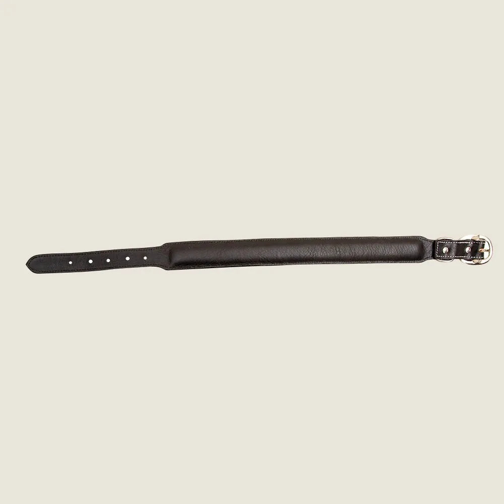 Hand-tooled black leather dog collar with a sleek design and silver buckle, ideal for everyday walks.