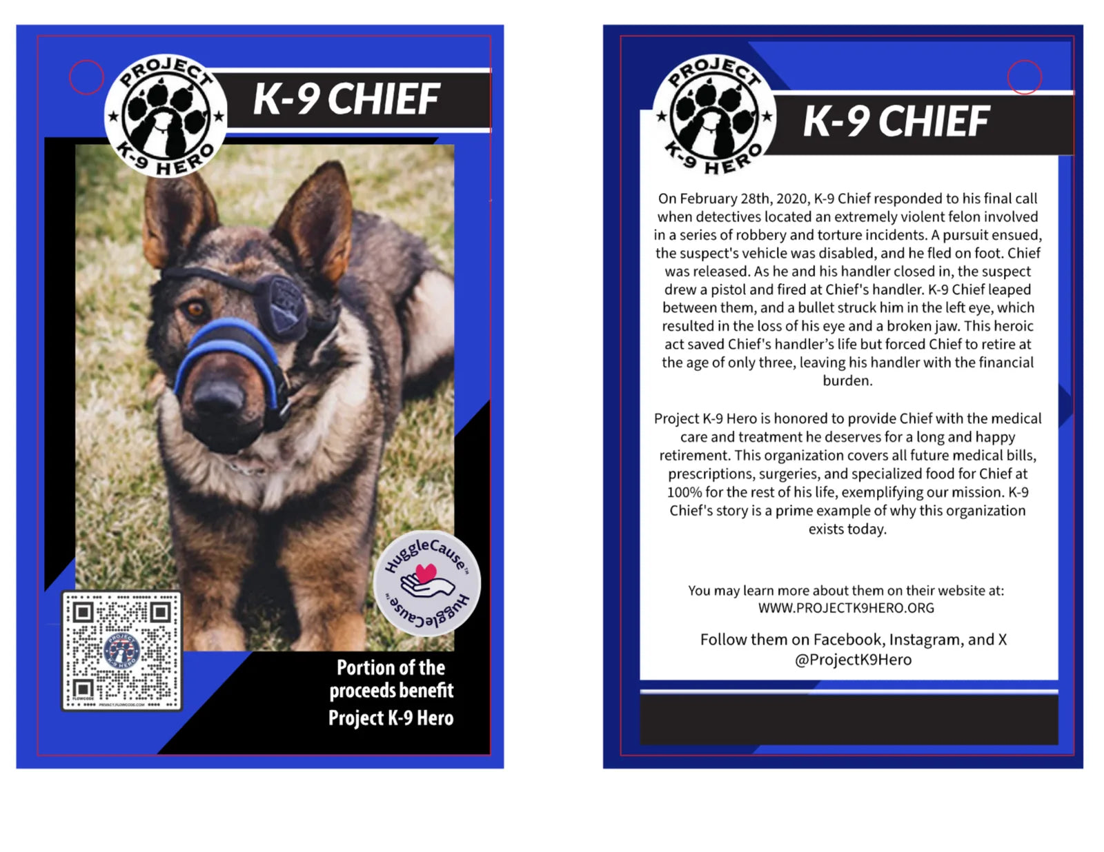 K-9 Chief, a courageous dog with a blue harness and patch over his left eye, posed against a grassy backdrop.