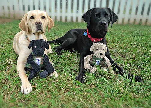 Two Labradors resting on grass, each with a plush knotted dog toy beside them, featuring black and beige colors.