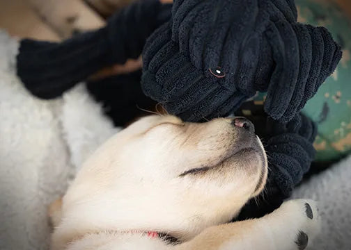 Cuddly black plush dog toy resembling a dog, next to a sleeping light-colored puppy, both on a soft blanket.