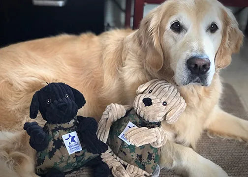 Large plush Black Lab and tan dog toys in military-patterned vests beside a golden retriever lying on the floor.