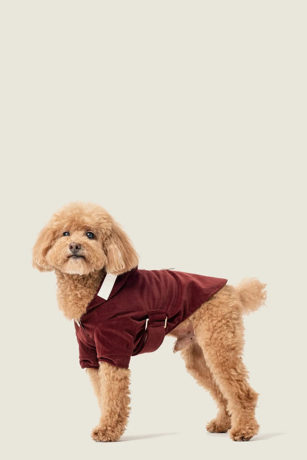Cozy dark burgundy hoodie for a dog, featuring flannel lining and adjustable straps for a perfect fit.