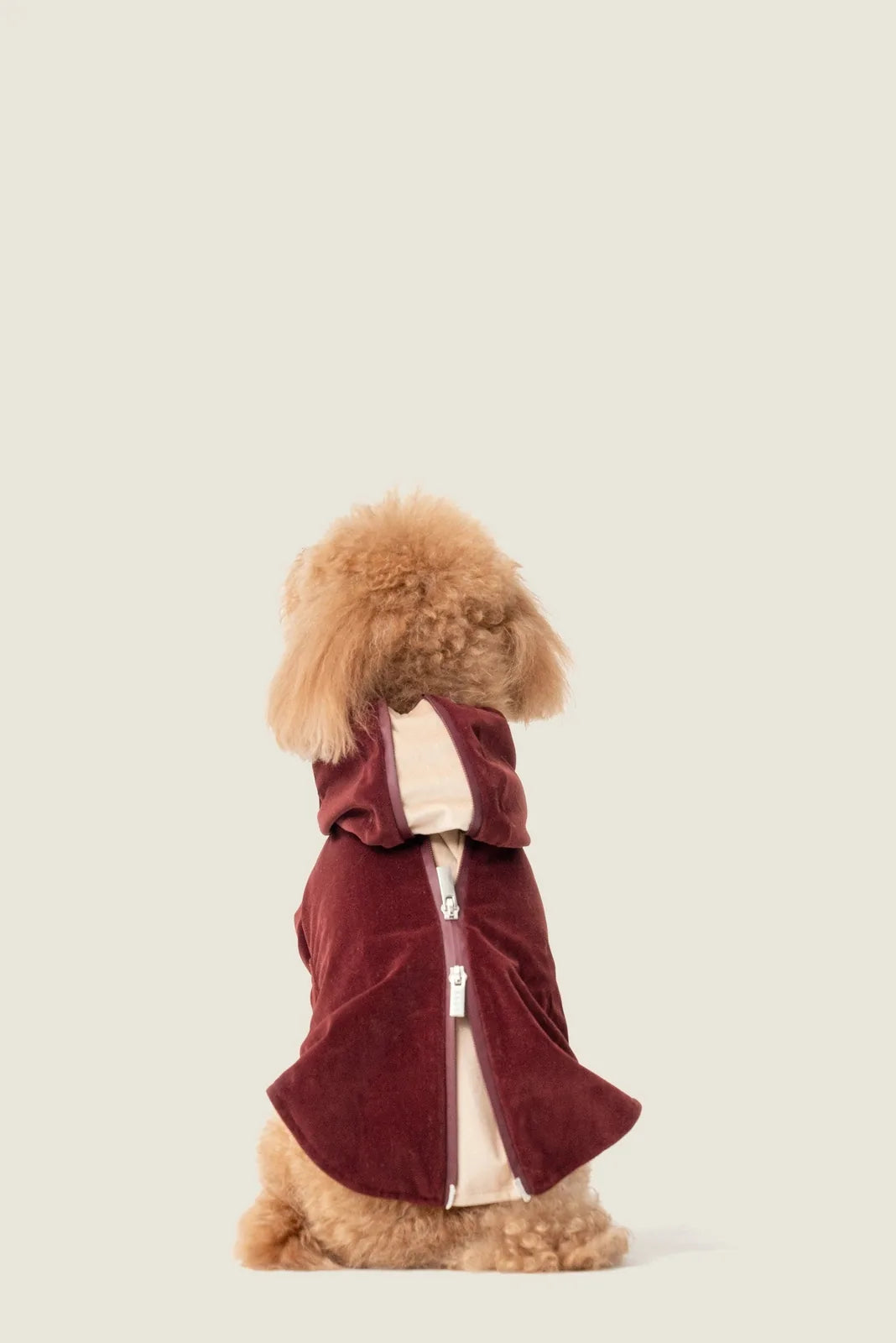 Cozy dark burgundy dog hoodie with flannel lining, featuring a two-way zipper and adjustable fit, seen from the back.