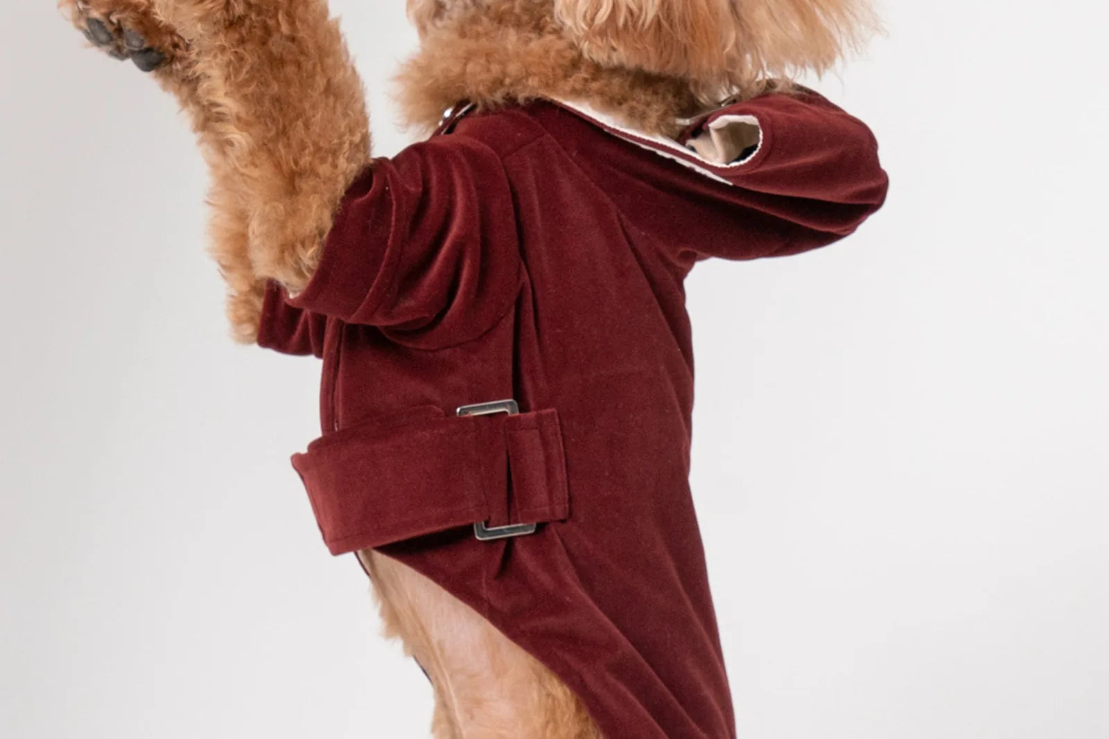 Dark burgundy dog hoodie with soft flannel lining, adjustable waist belt, and two-way zipper design for easy wear.