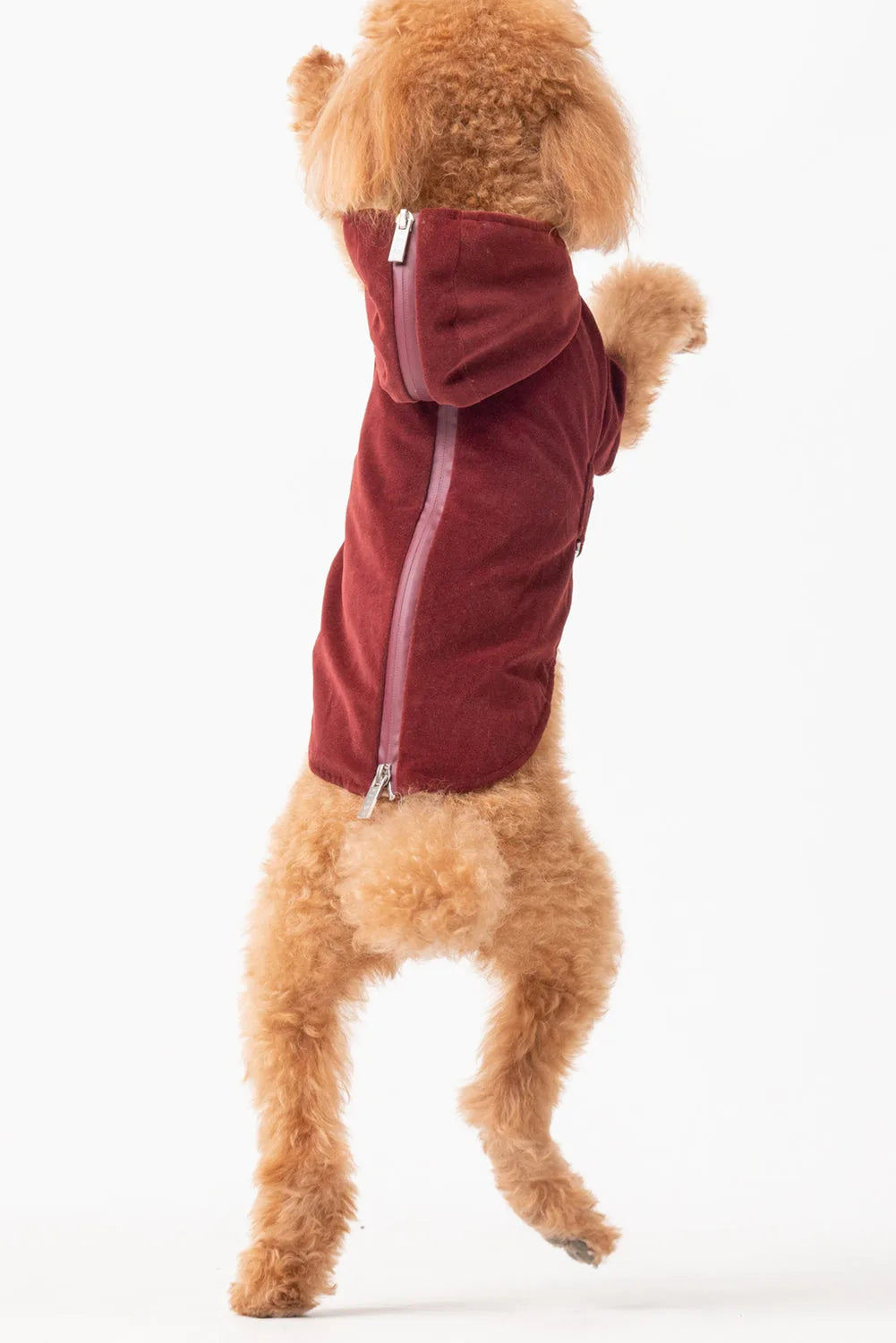 Dark burgundy dog hoodie with a two-way zipper and a hood, designed for comfort and adjustability.