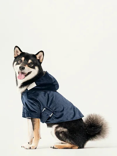 Midnight blue Huston Hoodie on a Shiba Inu, featuring a hood and adjustable waist for comfort and style.