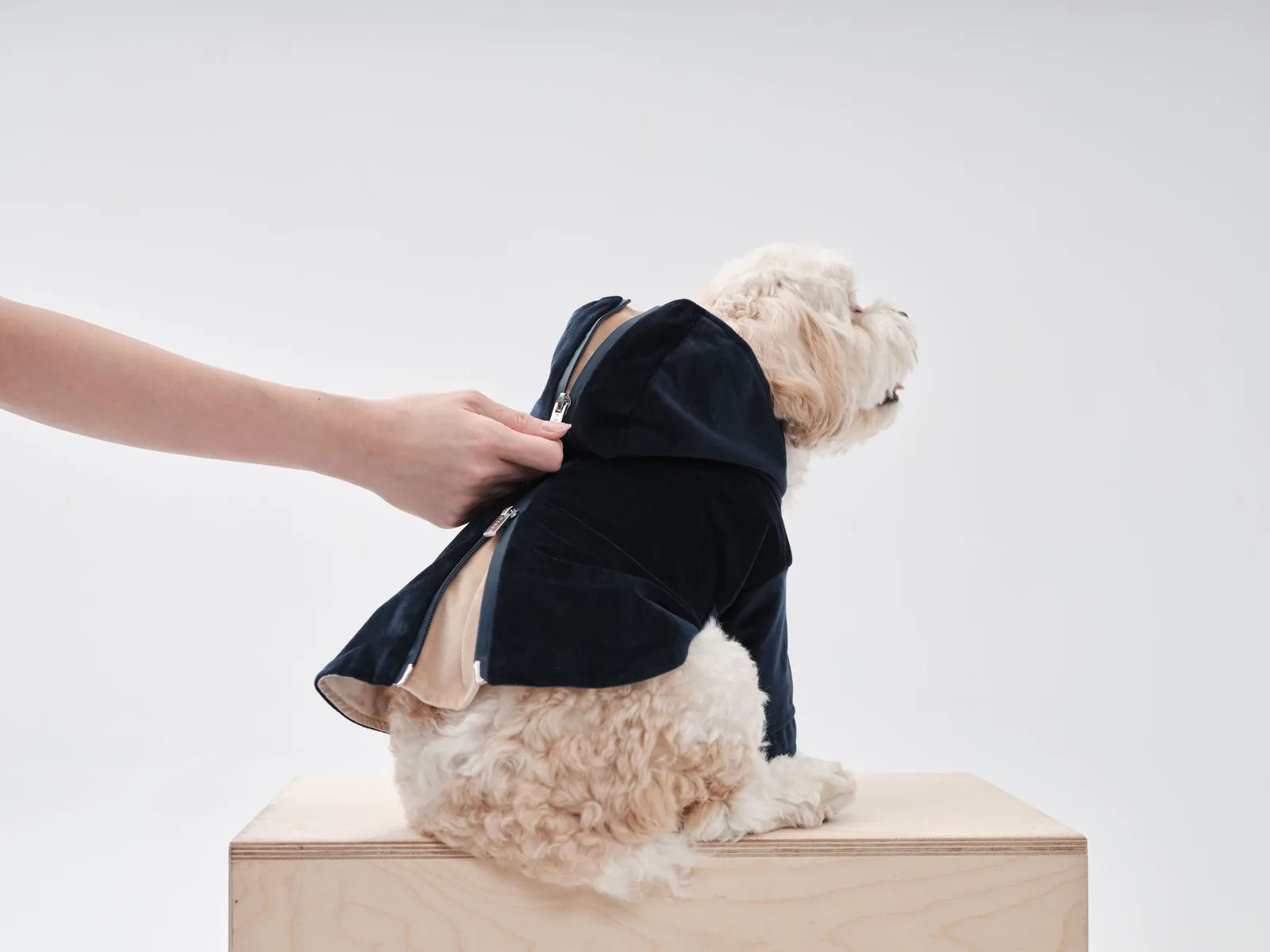 Midnight blue dog hoodie being zipped up, featuring a flannel lining and adjustable waist for a comfortable fit.