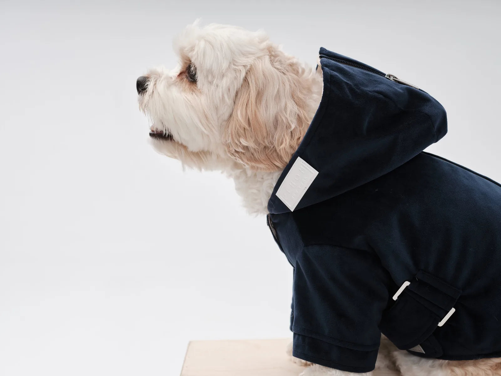 Midnight blue dog hoodie with adjustable waist belt, flannel lining, and hood for stylish warmth and comfort.