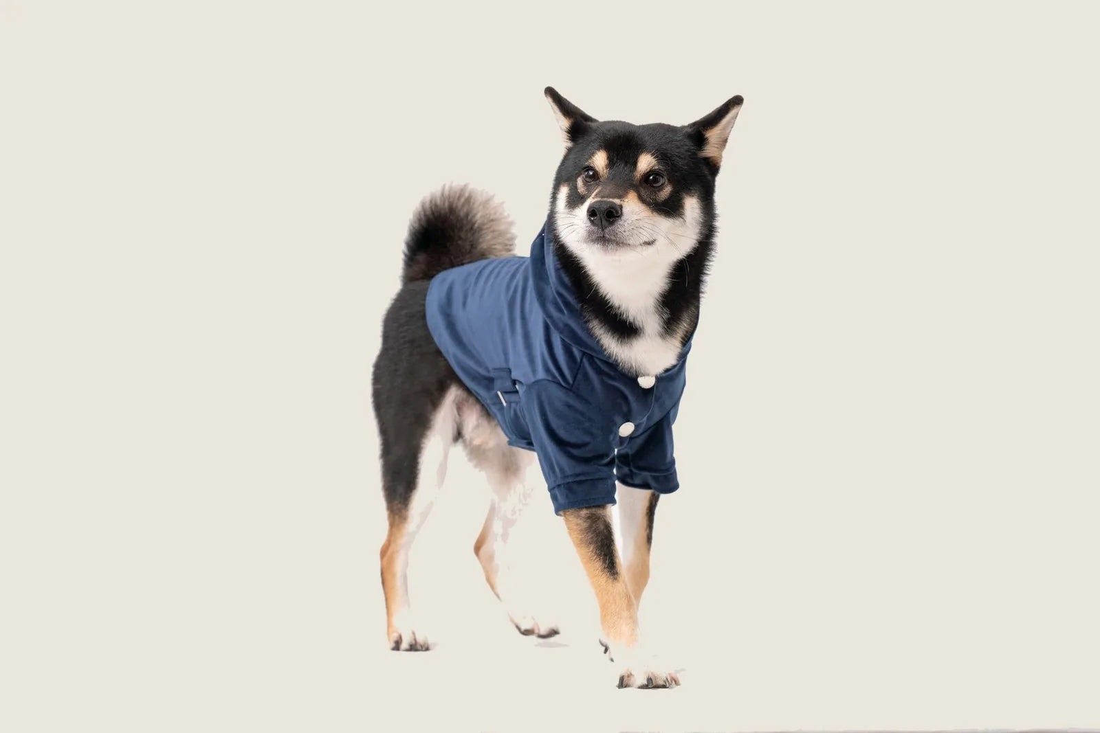 Midnight blue dog hoodie featuring a cozy design, adjustable waist, and a two-way zipper for easy dressing.