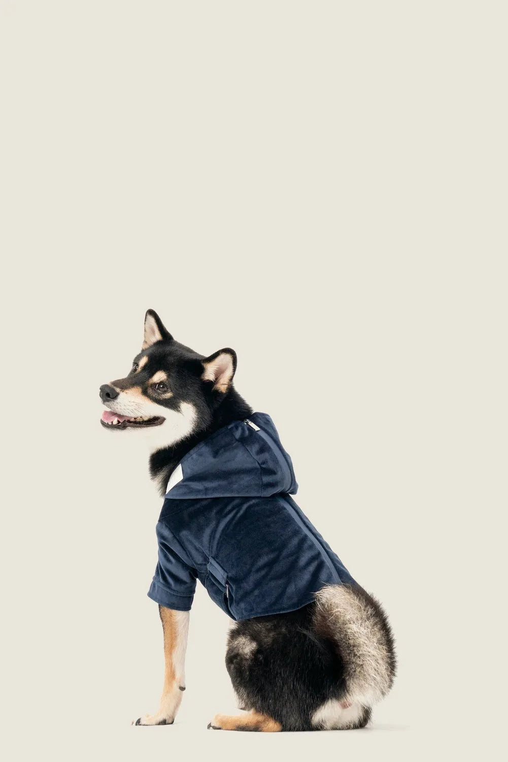 Midnight blue hoodie on a dog, featuring a hood, adjustable waist, and a sleek design for comfort and style.