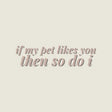 If My Pet Likes You Then So Do I Sticker