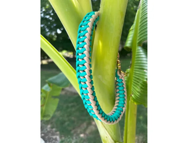 Teal and light tan braided dog collar hanging on a green plant, showcasing handmade craftsmanship and durable paracord.