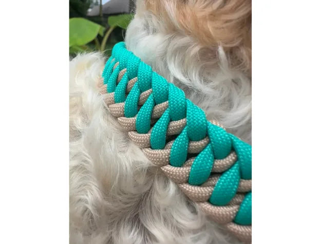 Teal and light tan handmade dog collar showcasing a braided design on a dog's neck, crafted from durable nylon paracord.
