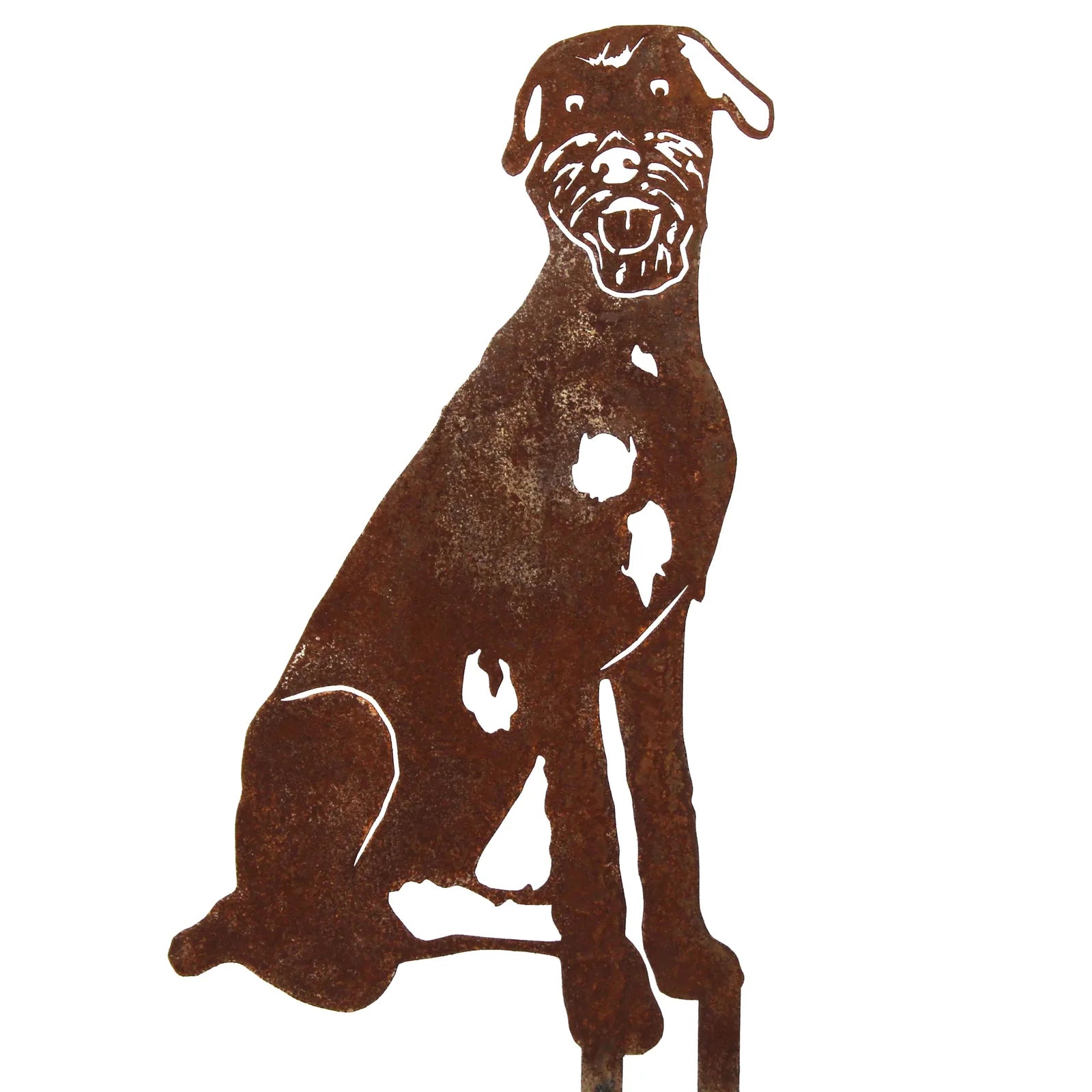 Rusty metal silhouette of an Irish Wolfhound, featuring a detailed design and stakes for outdoor installation.