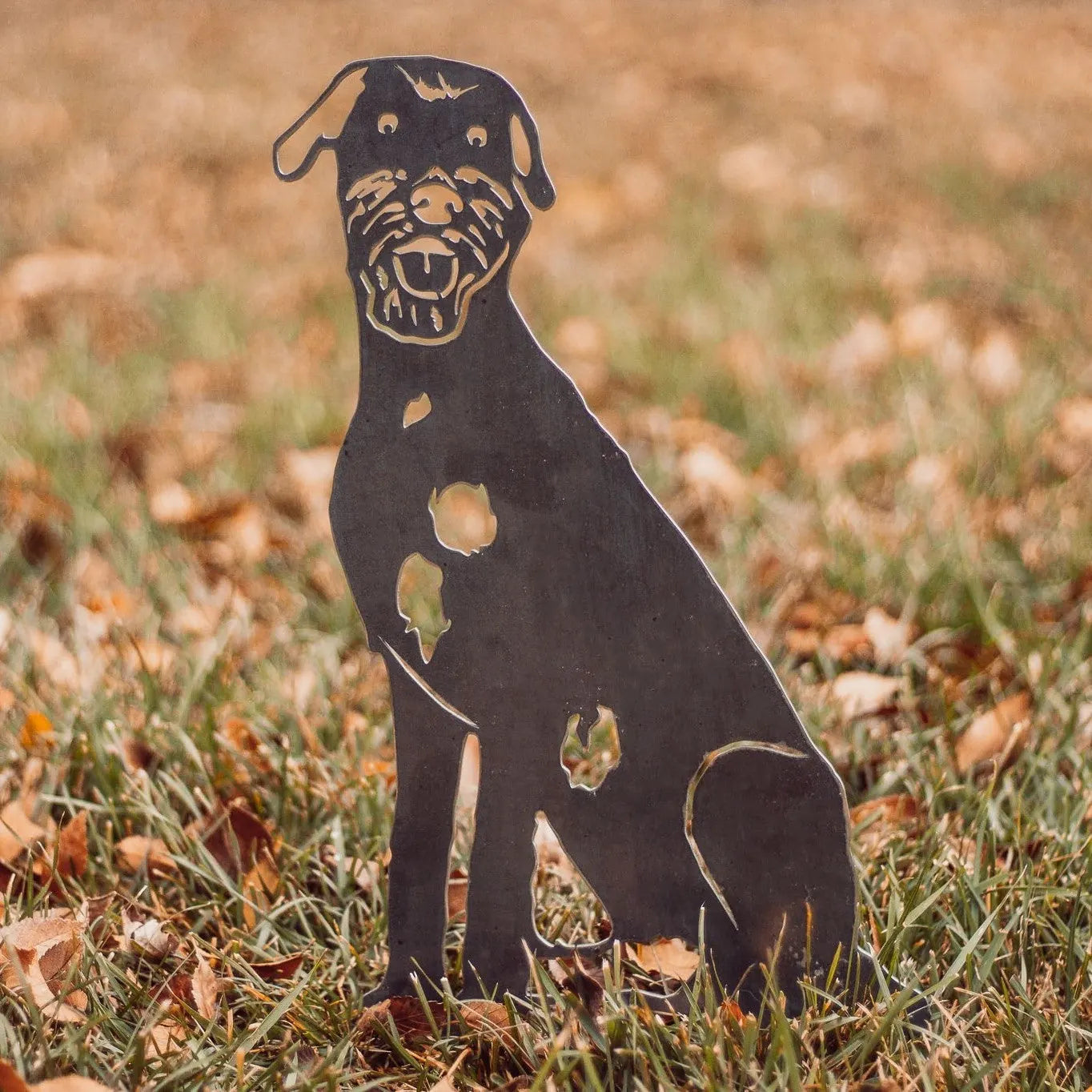 Irish Wolfhound metal silhouette in dark steel, set in grassy area with autumn leaves, showcasing a playful design.