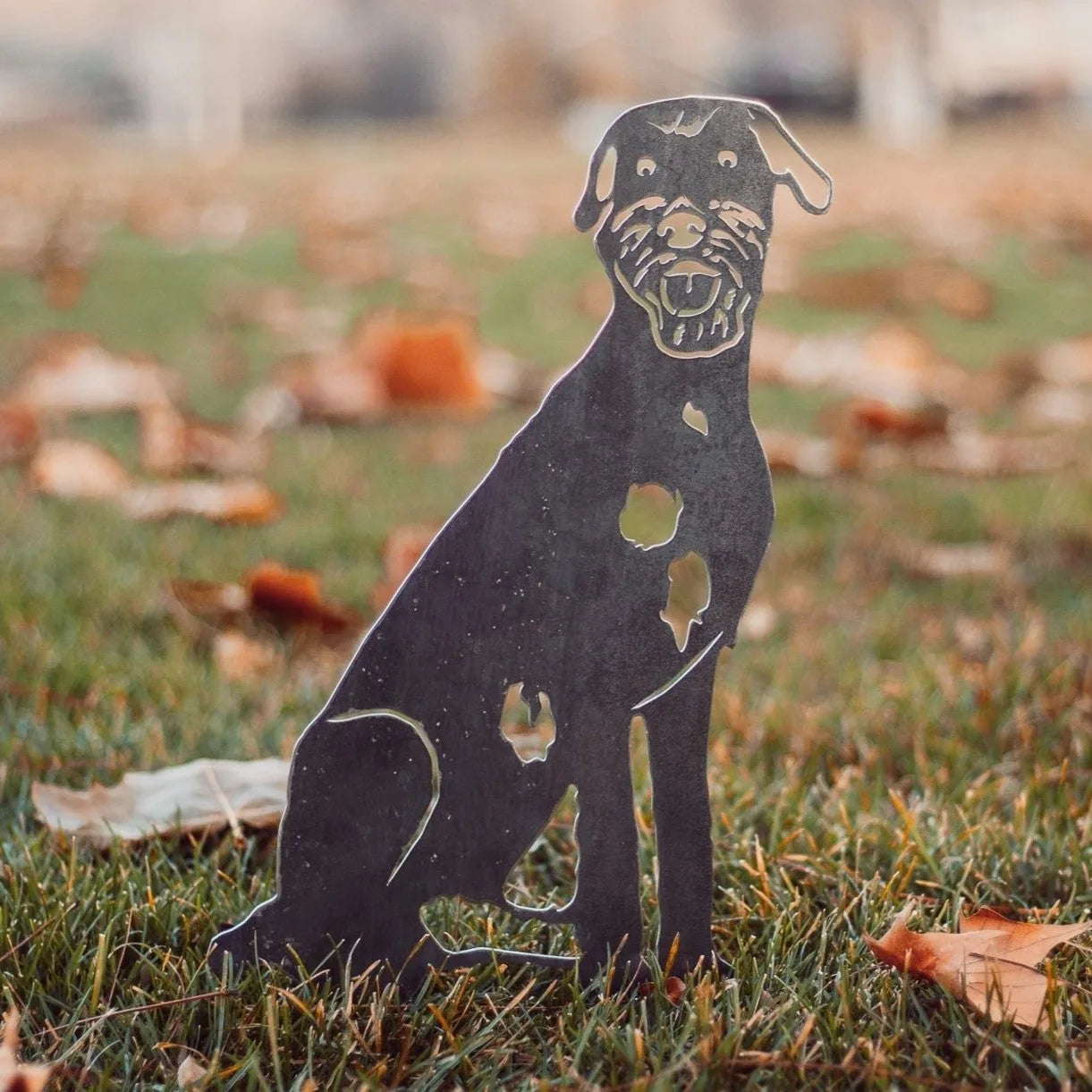 Irish Wolfhound silhouette made of dark metal, sitting on grass surrounded by autumn leaves. Suitable for outdoor decor.