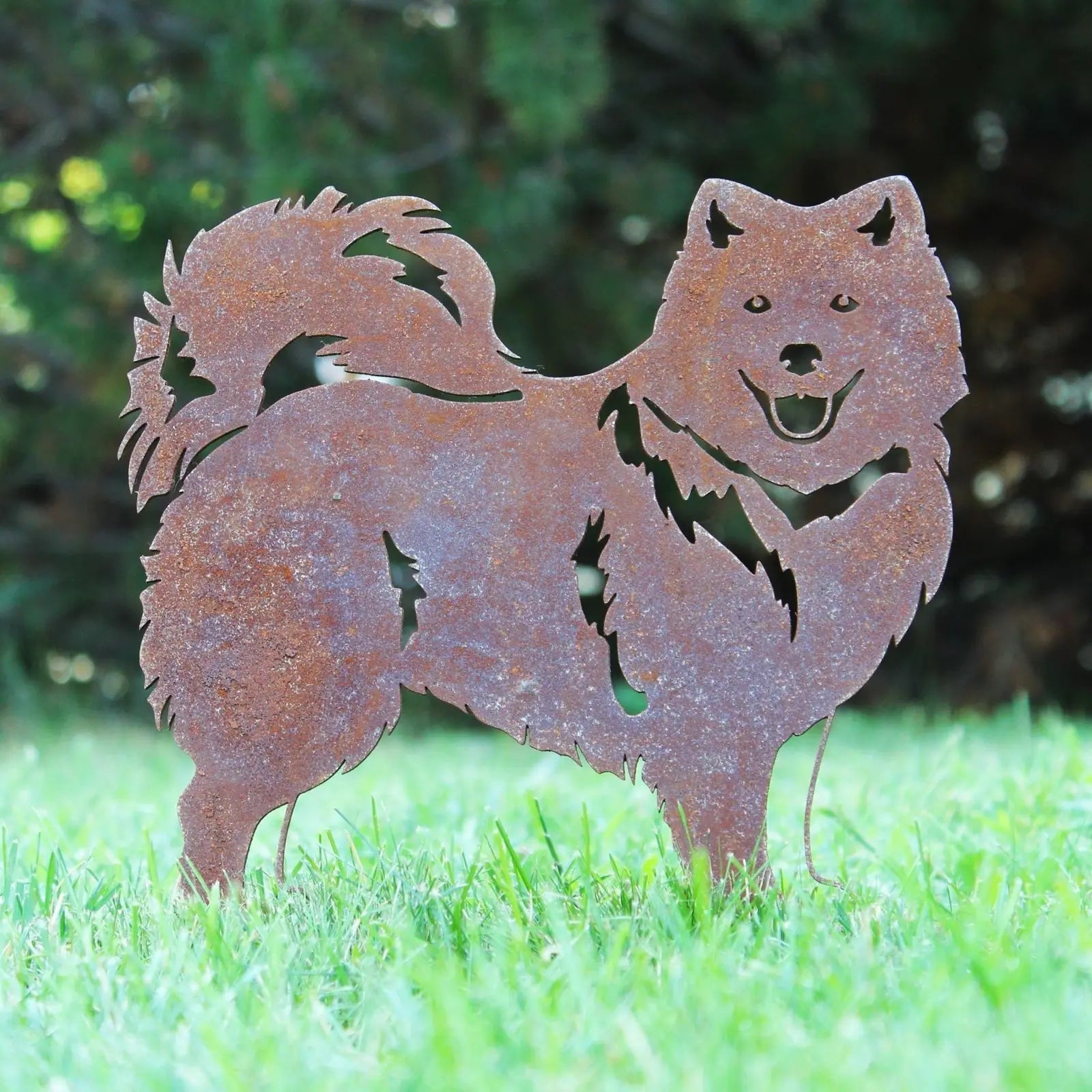 Rusty silhouette of a Japanese Spitz dog, crafted from Corten steel, standing on green grass with a blurred background.