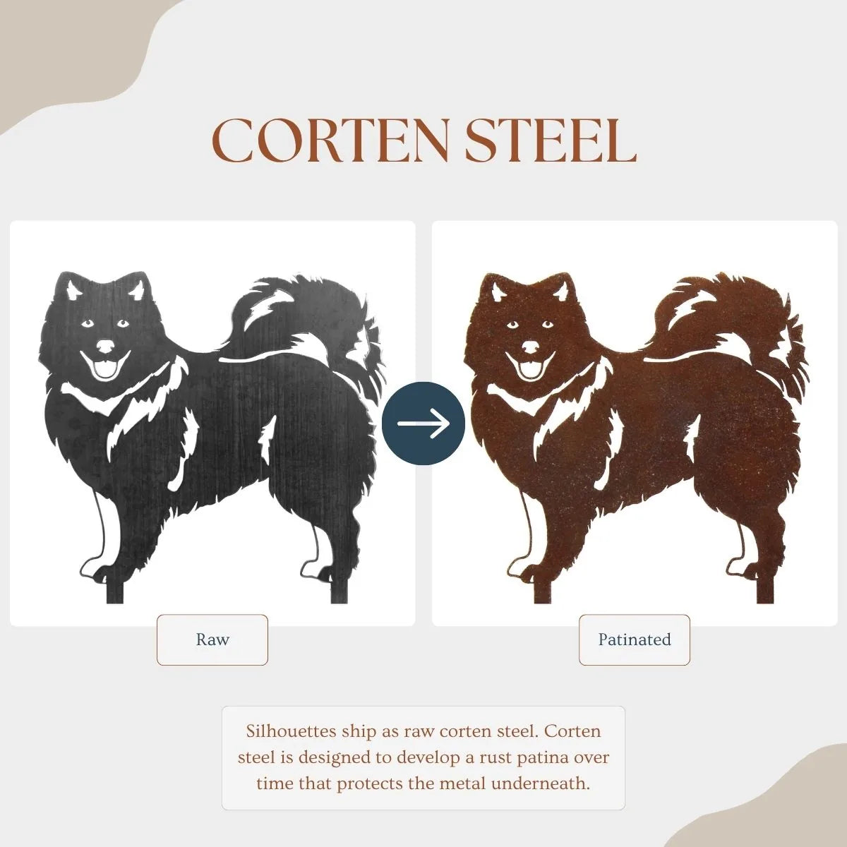 Keeshond metal silhouette in raw corten steel, transitioning to a rust patina, showcasing detailed design and craftsmanship.