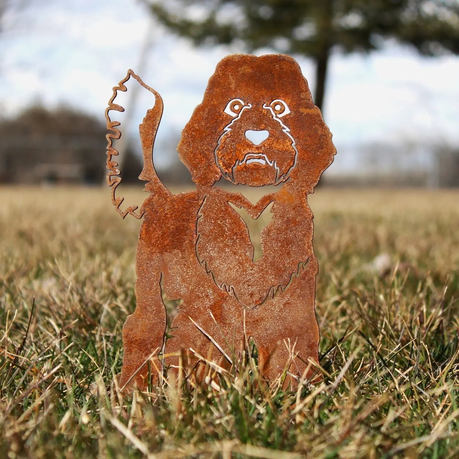 Rust-colored Labradoodle metal silhouette standing in grass, showcasing detailed fur textures, made from Corten steel.
