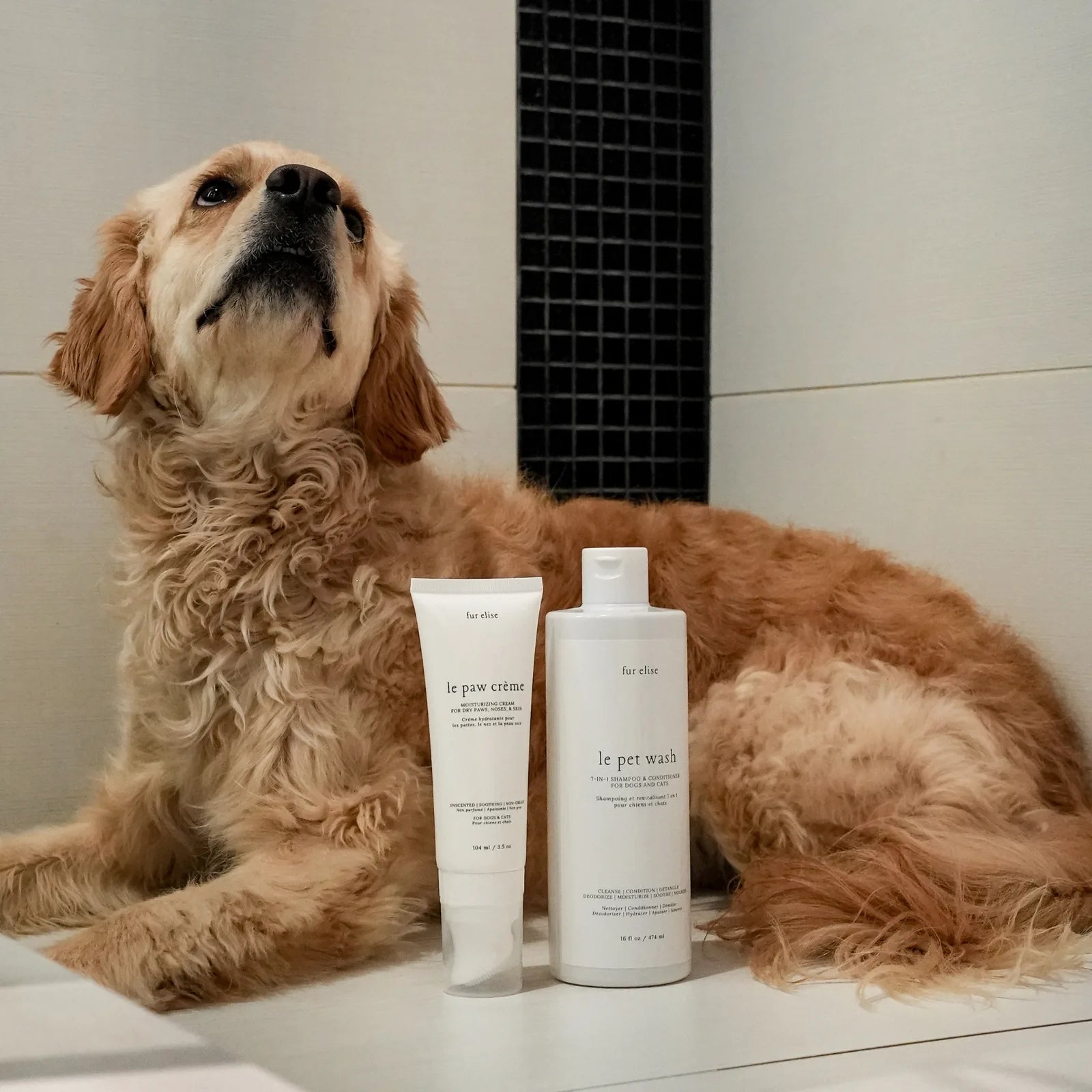 Le Pawsh Set by Elise Galleria featuring Le Pet Wash and Le Paw Cream beside a fluffy golden dog in a modern bathroom sett...