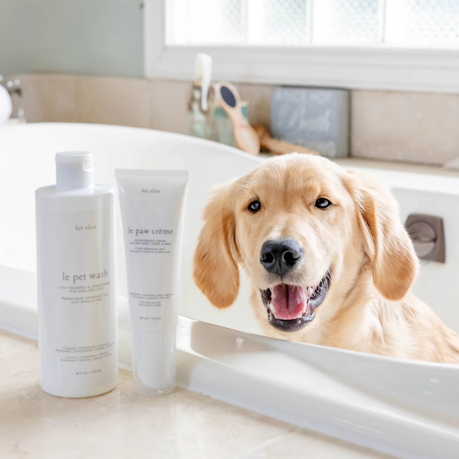 Golden retriever with a happy expression beside Le Pet Wash and Le Paw Crème in a bathroom setting.